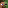 uuej's Minecraft head